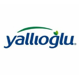 Yallioğlu