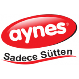 Aynes